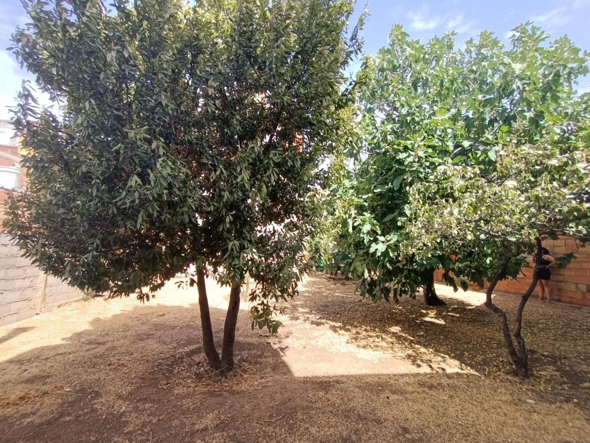 Vivienda Rural Los Iberos M&M, Castellar de Santisteban エクステリア 写真